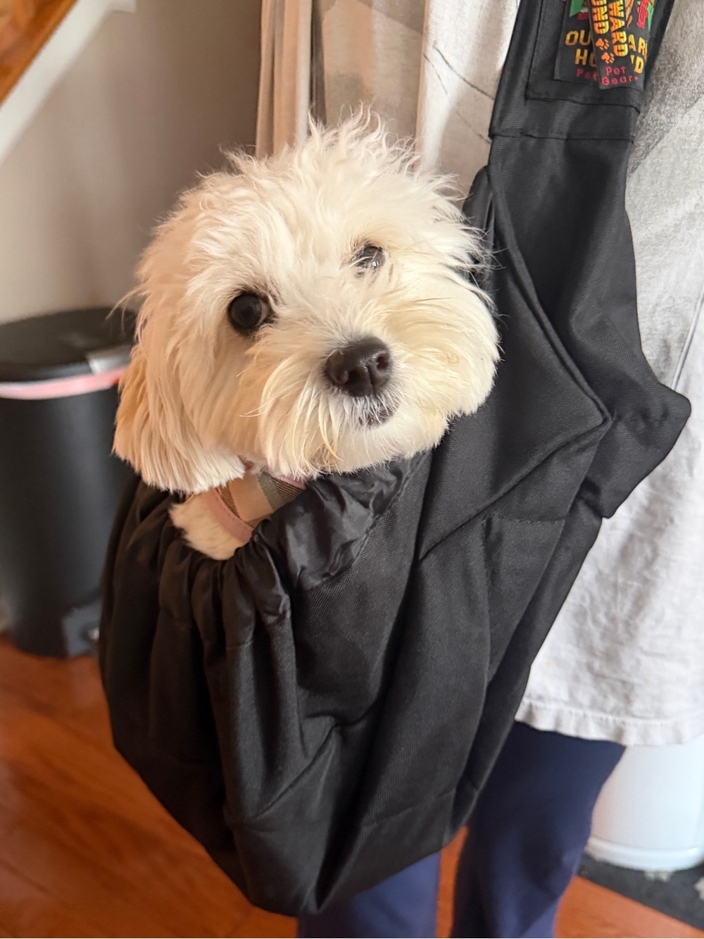Outward Hound Black Sling Pet Carrier with Pocket